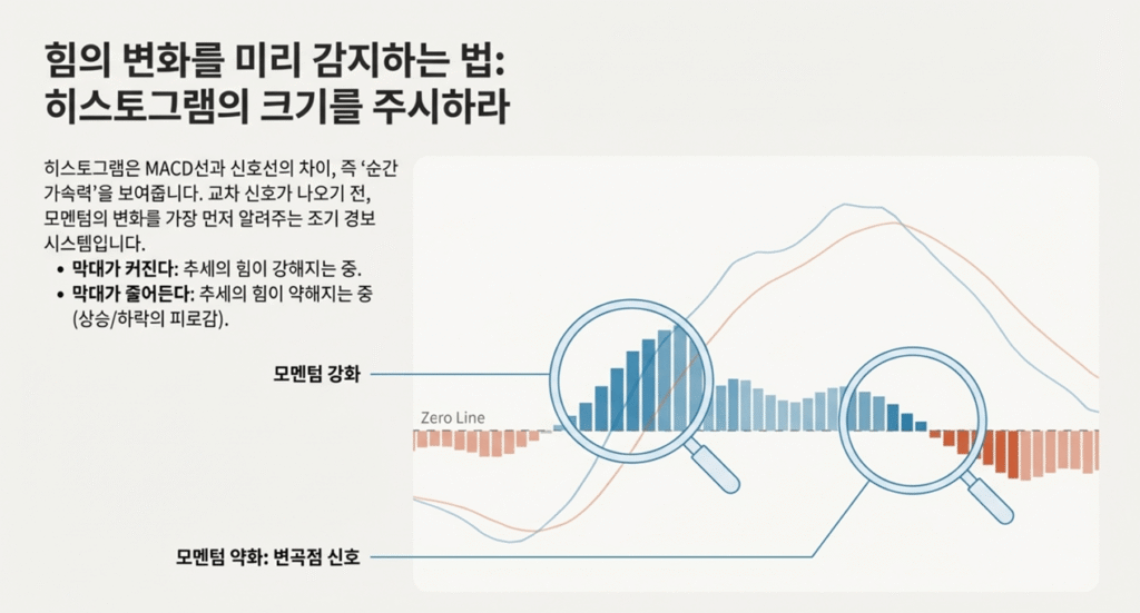 MACD 핵심 포인트